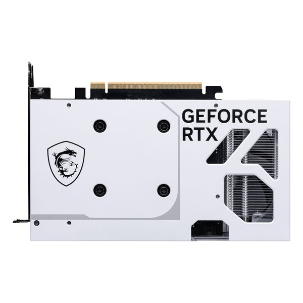 e-zoa-lite.com｜[MSI (エムエスアイ)] GeForce RTX 5060 8G VENTUS 2X