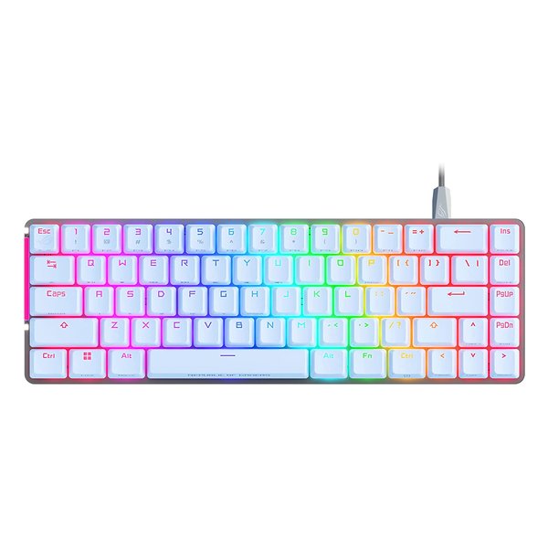 FALCHION/ACE/NXRD/WHT/US