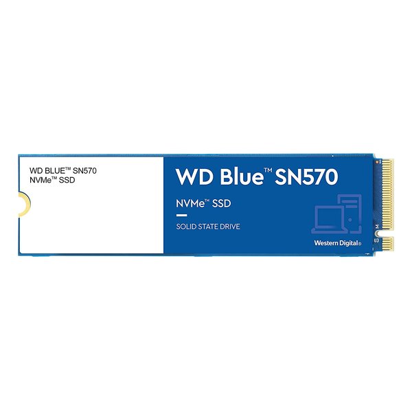 WDS100T3B0C