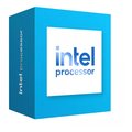 Intel Processor 300 BOX