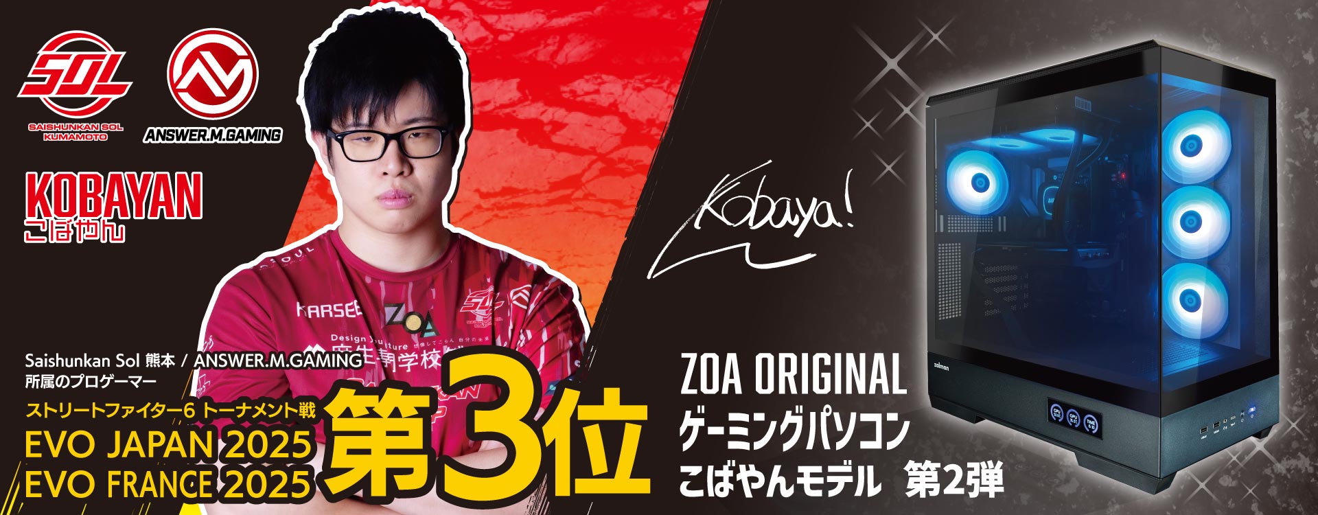 ZOA�I���W�i���Q�[�~���O�p�\�R��